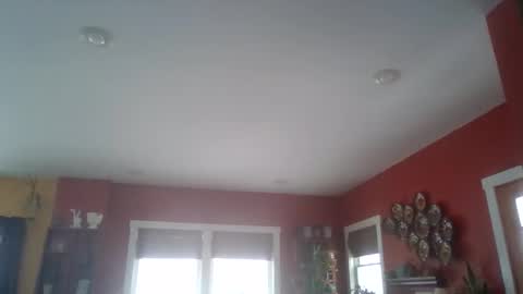 Sugar online show from 21, 3, 2026