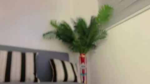 Snapshot of sugarhoneysw8 chatting on 7, 2, 2025 Jess online show from 7, 2, 2025