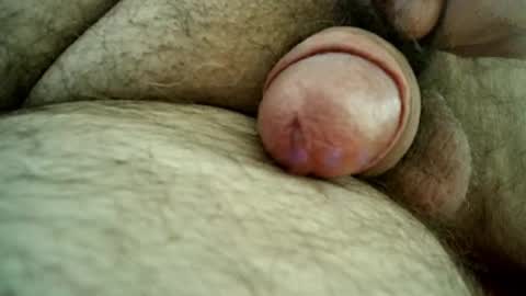 Samenspender online show from 7, 11, 2025