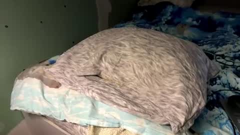 Sexy Nurse Girl online show from 21, 6, 2026