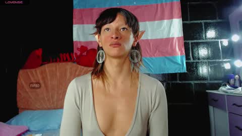 Summer online show from 19, 2, 2025