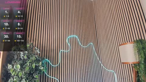 Nelly online show from 2, 2, 2025