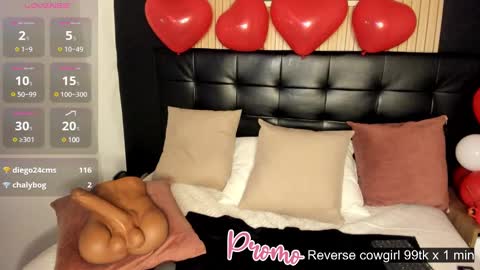 Summer online show from 18, 2, 2025