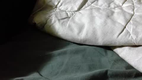 Shy guy online show from 19, 4, 2026