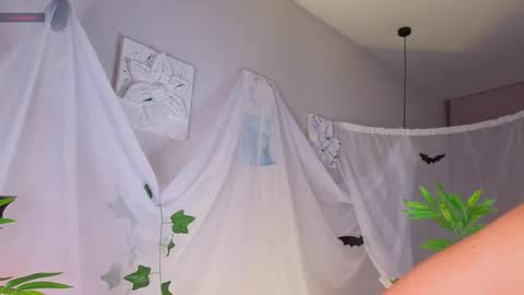 Becky online show from 1, 11, 2025