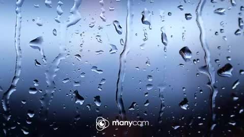 Snapshot of sunnybigboy88 chatting on 4, 2, 2026 sven online show from 4, 2, 2026