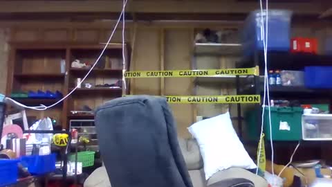 Sunnie online show from 12, 12, 2024