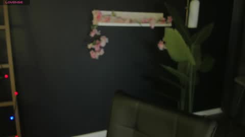 Risha online show from 14, 1, 2025