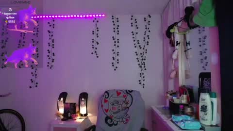 Sunset online show from 11, 4, 2026