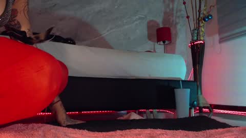    online show from 17, 12, 2024