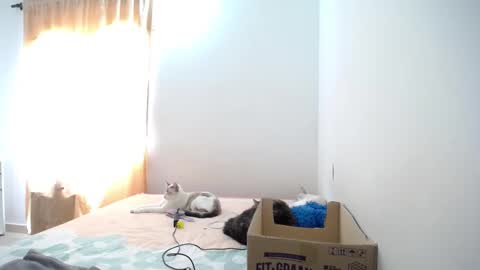 Susana online show from 23, 1, 2025