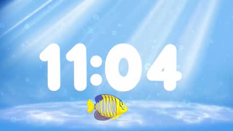 Susan online show from 26, 11, 2025