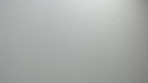 sussy leon online show from 11, 2, 2025