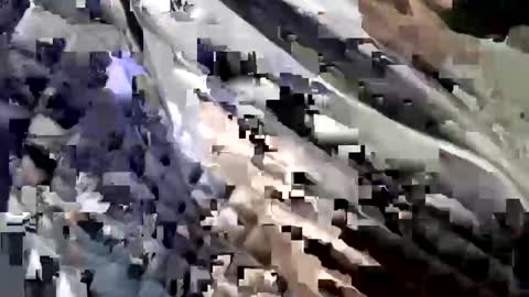 Bubblebunnyjlo online show from 1, 3, 2025