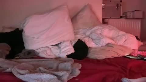 Snapshot of swannmonroe21 chatting on 25, 3, 2026 Horny French Arab online show from 25, 3, 2026