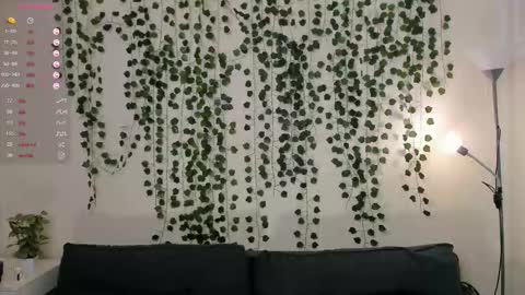 Alice online show from 17, 10, 2025