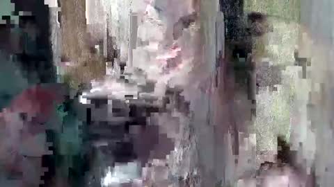 Snapshot of sweet_chel chatting on 9, 5, 2026 sweet_chel online show from 9, 5, 2026