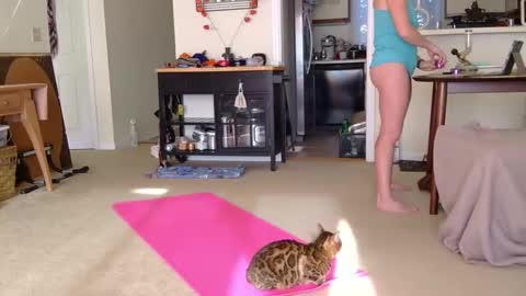 Heidi Brenner - Please check bio for schedule  FAQ online show from 7, 10, 2025