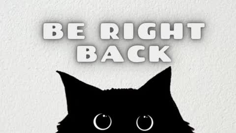       Independent model online show from 25, 12, 2024