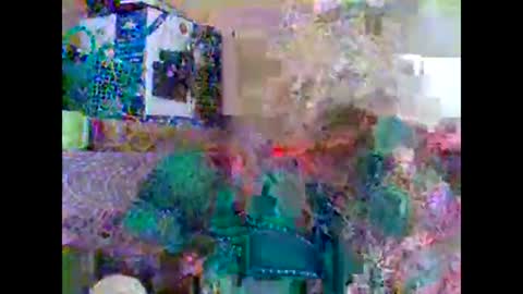 Snapshot of sweetib1 chatting on 27, 2, 2025 sweetib1 online show from 27, 2, 2025