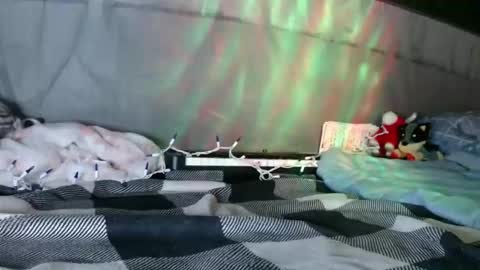 April online show from 12, 1, 2026