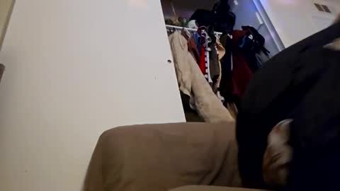 sweetp3ach29 online show from 16, 12, 2024