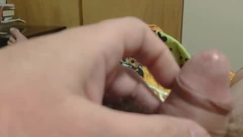 SweetRevenge online show from 19, 12, 2025