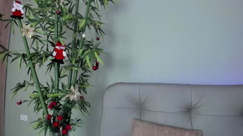 Snapshot of sweett_petite chatting on 29, 12, 2024 online show from 29, 12, 2024