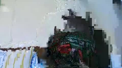 Snapshot of sweetvixen_ chatting on 5, 12, 2024 Cute vixen online show from 5, 12, 2024