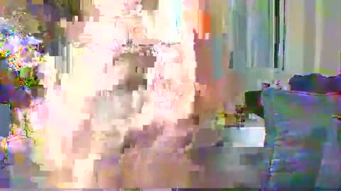 Snapshot of sweetvixen_ chatting on 11, 12, 2024 Cute vixen online show from 11, 12, 2024