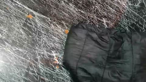 - allen online show from 8, 11, 2025