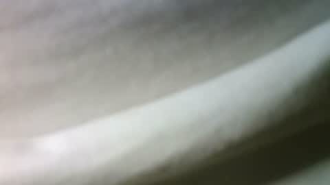 Snapshot of syrius57920 chatting on 22, 2, 2025 syrius57920 online show from 22, 2, 2025