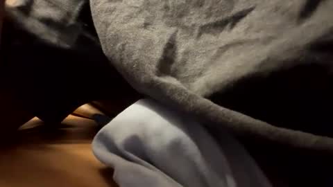 tRex online show from 29, 11, 2025