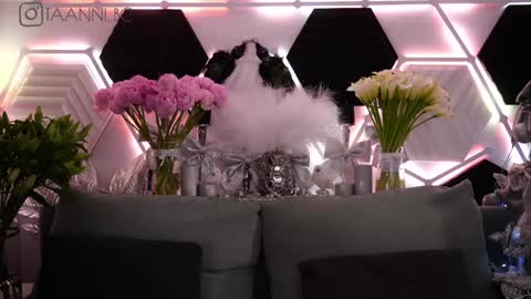 TAANNI online show from 31, 1, 2025