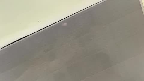 tali  online show from 1, 11, 2025