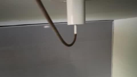 tali  online show from 8, 4, 2026