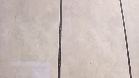 Snapshot of tall6feet7inch chatting on 6, 10, 2025 tall6feet7inch online show from 6, 10, 2025