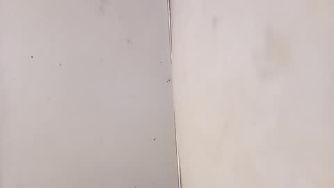 Snapshot of tall6feet7inch chatting on 3, 2, 2026 tall6feet7inch online show from 3, 2, 2026