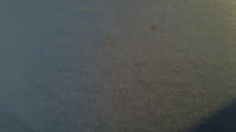 Snapshot of tallwxguy chatting on 22, 5, 2026 tallwxguy online show from 22, 5, 2026