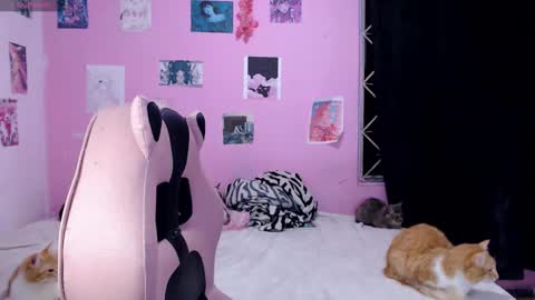 Snapshot of tamako_kitty__ chatting on 14, 12, 2024 Alejandra Independent model online show from 14, 12, 2024