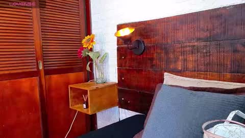    online show from 13, 11, 2025