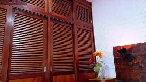    online show from 24, 11, 2025