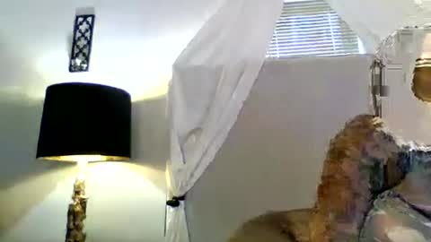 Snapshot of tammygold chatting on 23, 6, 2026 Tammygold online show from 23, 6, 2026