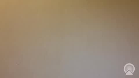 tanelure online show from 25, 9, 2025