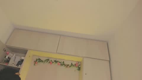  T A R A  online show from 5, 12, 2025