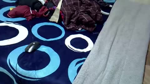 tastie_t online show from 1, 11, 2025