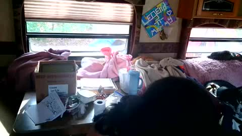 tastycakes999 online show from 18, 11, 2025