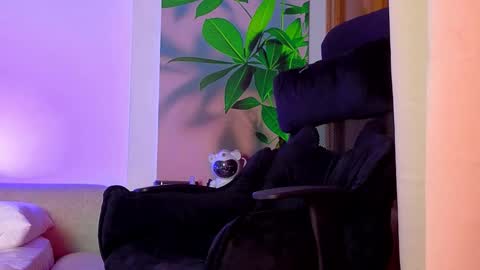 tattokoi online show from 25, 3, 2026