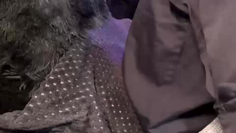 Jean pool online show from 15, 12, 2025