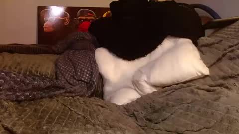 Jean pool online show from 28, 3, 2026